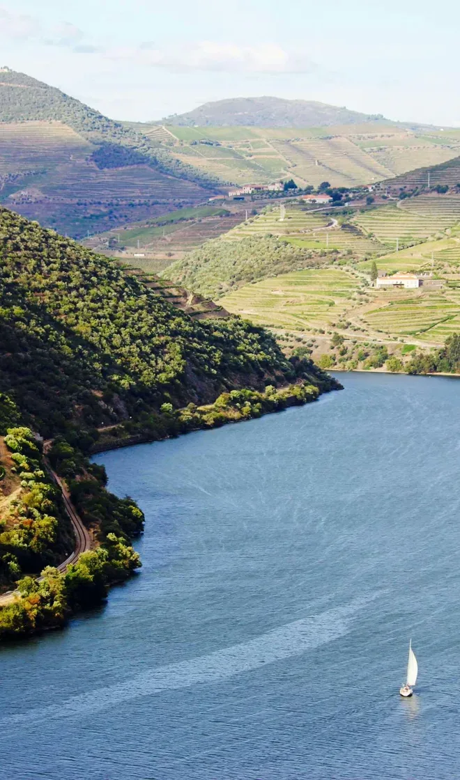 Terraced vineyards above the Douro river